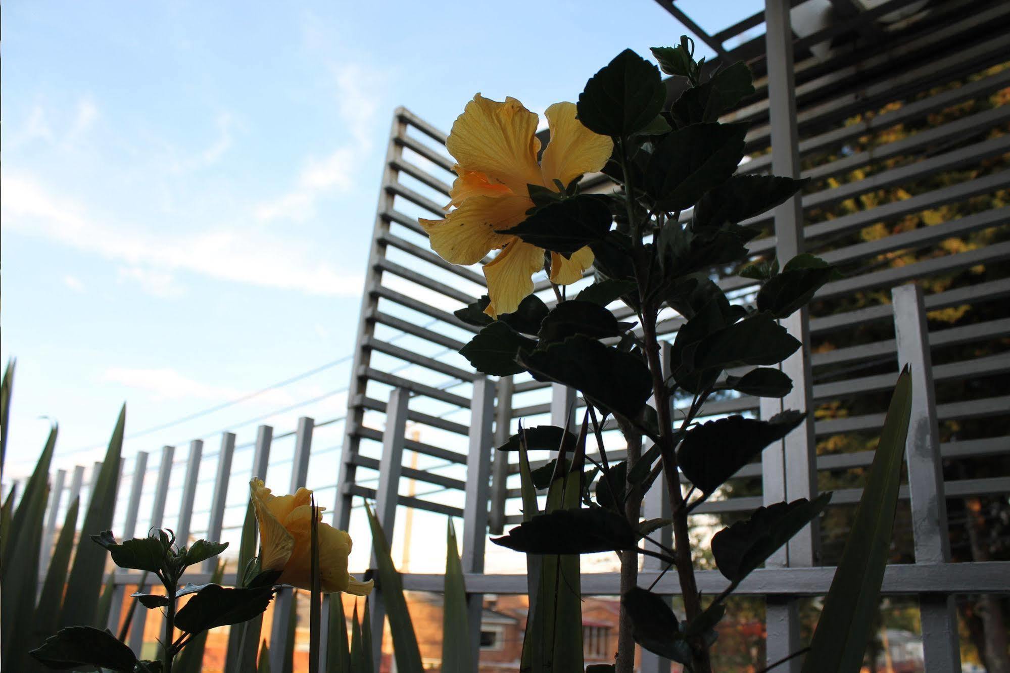 Casa Amelia Hotel Bogotá